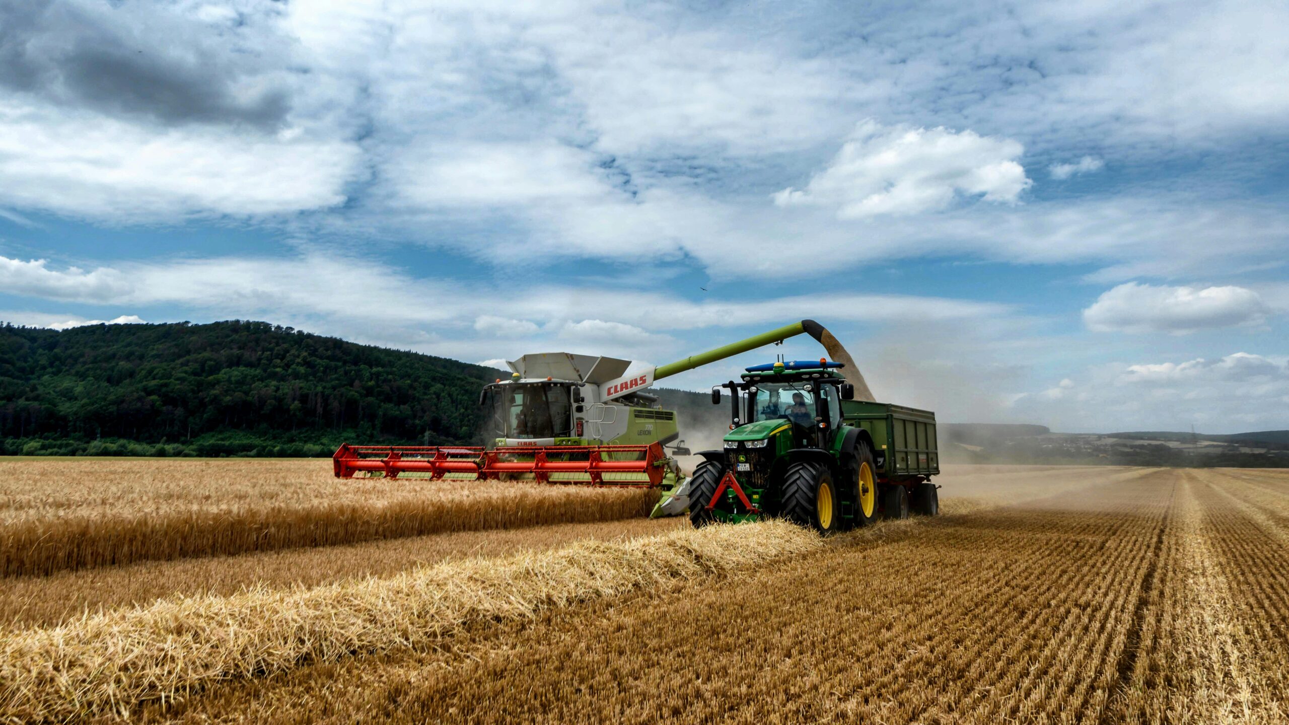 Ziua Agricultorului 2024: Rîșcani găzduiește evenimentul, cu participarea reprezentanților din Fălești